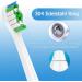 Buy Qtitrus Replacement Brushes for Philips Sonicare | Compatible Toothbrush Heads for Diamond Protective Expert & Daily Clean - 8 White & 8 Black - Buy Online on GoSupps.com