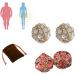 JIAWEIIY Dorina Ear Acupressure Magnetherapy Earrings 2/3Pairs Dorina Earrings Weight Loss Magnetic Earrings Ear Acupressure Earring (A)