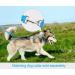 Taglory Reflective Dog Leash for Medium & Large Dogs - Padded Handle Supports 10-75kg 1.2m x 2.5cm Himmel Blue - Perfect for International Shipping - Buy Online on GoSupps.com