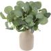 Zerodeko 12pcs Simulated Eucalyptus Leaves Party Decors Real Touch Green Leaf Home Decor Home Plant Decors Vase Floral Arrangement Greenery Decor Faux Plastic Fake Plant Wedding - Buy Online on GoSupps.com