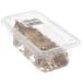 Livefoods4u Medium House Brown Crickets Live Food (8-12mm) - Perfect for Reptiles and Lizards - Sustainably bred (Pre Pack Approx 125) - Buy Online on GoSupps.com