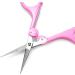 Humbee Eyebrow Scissors for Facial, Nose, Eyebrow, Mustache, Beard Hair Trimming & Grooming - Straight Edge, Pink Long Cap (1 Count) - Buy Online on GoSupps.com