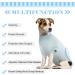Hjumarayan Dog Body After Op - Breathable Castration Medical Suit for Small to Large Dogs - Sky Blue XL - Buy Online on GoSupps.com