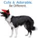 Pawaboo Dog Baseball Cap - Adjustable Sun Protection Hat for Puppies & Pets Large Red with Ear Holes - Buy Online on GoSupps.com