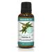 Essential Oil Eucalyptus