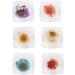 Nail Art Decor Soft And Safe Nail Dry Flower Decor Bright Colors Nail Decoration Natural Flower Perfect Choice Beauty Salon for Home Woman Manicure Store - Buy Online on GoSupps.com