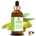 Pure Herbs Extra Virgin Olive Oil (Olea euroaea) Pure & Natural Therapeutic Grade Carrier Oils with Dropper (30 ml)