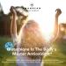 Liposomal Glutathione 500mg | Immune Support, Brain Function, Anti-Aging | Detox & Skin Health | Non-GMO & Vegan | 4oz Liquid Setria L-Glutathione Supplement - Buy Online on GoSupps.com