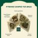 Vahdam Tea Trial Set | Discover 15 Flavors - Black Green Oolong Chai & Herbs | Ideal Gift for Tea Lovers - International Shipping - Buy Online on GoSupps.com