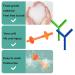4-Piece Sensory Chewing Chains | Food-Safe Silicone Oral Engine & Chewing Rings for Kids | Portable Relief for Biting Needs - Buy Online on GoSupps.com