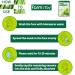 Buy FARMSTAY Real Essence Mask (10 Sheets) - Bamboo | Best Korean Skin Care Sheet Masks for Glowing Skin - Buy Online on GoSupps.com