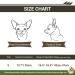 Namsan Pet Helm - Adjustable Cool Motorcycle Dog Helmet for Head Protection | Safe & Stylish Pet Gear - Buy Online on GoSupps.com