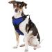 Littlearth NCAA Florida Gators Front Clip Pet Harness - Team Color Medium - Buy Online on GoSupps.com