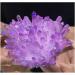 Amethyst 1pc Quartz Crystal Purple Rainbow Titanium Cluster 300G - Buy Online on GoSupps.com