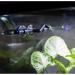 Hobby Easy Rain: Adjustable Automatic Irrigation System for Terrariums - 1 Piece Pack | International Shipping Available - Buy Online on GoSupps.com