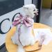 MYKOMI Pet Cat Dog Harness Cute Checkered Bowknot Mesh Breathable Vest For Small Dogs Cats Costume Torso Harness Stylish Ribbon Walking Harness & Leash Set (XS 1-3lb Pink) XS 1-3lb Pink - Buy Online on GoSupps.com