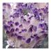 1pc Natural Crystal Cluster Amethyst White Specimen Ore Purple Quartz Reiki Stone Raw Crystals Home Decor Great Choice for Home Decoration kaixun (Size : 350-400g)