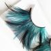 Shop Miya Fantastic Eyelashes - Handmade Blue Feather False Lashes for Parties Carnivals & Halloween | Super Soft & Eye-Catching - Buy Online on GoSupps.com