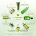 Aloderma Firming Face Serum with 63% Organic Aloe Vera - Age-Defying Face Plumping Serum for Radiant Skin - Tighten Skin Reduce the Appearance of Fine Lines & Wrinkles with Hyaluronic Acid 1.7 Oz - Buy Online on GoSupps.com