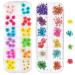 Changar nail sticker set 3D dry flowers sticker dried flowers for nail art and synthetic resin handicrafts DIY five petals gyraw dry flower