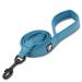 TRUE LOVE Dog Leash Puppy Walking Lead Pet Chain Padded Reflective Night Safe Rope Length 110cm TLL2111(Blue M) M(110cm) Blue
