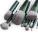 12-Piece High-Quality Makeup Brush Set with Synthetic Bristles & Case | Perfect for Beginners & Makeup Artists - Buy Online on GoSupps.com