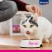 Vita Power Po sie D lice Wet Cat Food with Chicken Fillet - Grain & Sugar-Free for Adults (23x85g) | Premium Nutrition - Buy Online on GoSupps.com