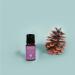 Winter Essential Oils Blend Gift Set - 3X 10ml Aromatherapy Oils for Relaxation & Wellness - Perfect Holiday Gift - Buy Online on GoSupps.com