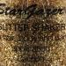 Stargazer GLITTER SHAKER Gold - Premium Loose Glitter | International Shipping Available - Buy Online on GoSupps.com