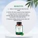 mi Nature Neem Tablets 1000mg | 90 Tablets | Clear Skin & Acne-Free | Vegan Detox Supplement - Buy Online on GoSupps.com