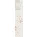Jurlique Purely Age-Defying Refining Treatment 40ml | Anti-Aging Skincare - Buy Online on GoSupps.com