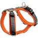 HUNTER Harness Maldon 37-53/XS-S Orange/Grey XS-S
