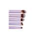 5-Piece Multifunctional Eye Shadow Brush Set | Soft Non-Irritating Synthetic Fiber Makeup Tools for Perfect Application - Buy Online on GoSupps.com