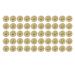 Gonyscag 50 pieces magnetic pocket locks strong stainless steel smoothing widespread magnetic buttons for pants coats bags