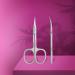 Staleks Pro Expert 50 Type 2 Cuticle Scissors - Professional Quality - SE-50/2 - Buy Online on GoSupps.com
