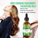 LOPHE Rosemary Oil for Hair Growth 100% Pure Rosemary Hair Oil for Eyebrow Eyelash for Hair Loss and Nourishes Scalp Organic Hair Oil for Men Women - Buy Online on GoSupps.com