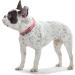 HUNTER Convenience Comfort Dog Collar - Neon Pink Neoprene & Plastic 55 ML | International Shipping Available - Buy Online on GoSupps.com