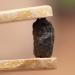 cn herb Yunnan Pu 'er Ripe Tea Chen Xiang Nuo Xiang Pu 'er Loose Tea Fossil Broken Silver Canned 500g. - Buy Online on GoSupps.com