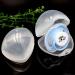 Unisex Portable Clear Pacifier Box & Travel Accessories | Pacifier Container & Wood Clip - Perfect for Home & On-the-Go - Buy Online on GoSupps.com