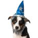 Rubie's Costume Company Wizard Hat with Beard for Pets Medium-Large