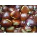 Ardeche France Chestnuts 420g (Pack of 2) - Peeled & Ready to Eat Roasted Chestnuts - Buy Online on GoSupps.com