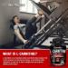 L-Carnitine 1330mg Capsules for Weight Loss Fat Burning L-Carnitine Tartrate with Calcium Carbonate 120 Count - Buy Online on GoSupps.com