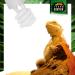 Terra Exotica Compact Mini UVB 13W Full Spectrum Daylight Lamp - Desert 10.0 5.0 & 2.0 UVB Options for Your Terrarium - Buy Online on GoSupps.com