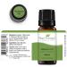 Plant Therapy Balsam Fir Essential Oil 10 mL - 100% Pure Therapeutic Grade - 0.34 Fl Oz - Buy Online on GoSupps.com