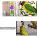 Bird Mirror Universal Birdcage Hanging Toy Bird Toy Swing with Bird Stand Rope Perch for Parrot Parakeet Cockatiels Cockatoo Budgie Finch (6.97 Inch) - Buy Online on GoSupps.com