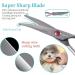 FOGOSP 4.5 Curved Dog Scissors for Small Dog Grooming - Round Tip Professional Trimmer for Face, Paws, Ears - Gray Shears - Buy Online on GoSupps.com