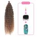 Deep Twist Crochet Hair Bundles - 26 Inch Synthetic Kinky Curl Extensions - Ombre Waterwell Twist Braids T27# - 3 Packs for Stunning Hairstyles - Buy Online on GoSupps.com