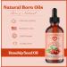 Natural Born Oils Rosehip Seed Oil 1 Gallon Organic Carrier Oil Cold-Pressed Nutrient-Rich Excellent for Radiant Skin Lustrous Hair - Buy Online on GoSupps.com