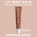 Crickle Daisy Lip Treat Balm - Hydrating & Nourishing Lip Balm with Avocado Olive and Coconut Oils Smooth Softening Lip Moisturizer & Protection for Very Dry Lips - Chocolate Cupcake Scented 0.7oz - Buy Online on GoSupps.com