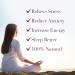 New Nordic Ashwagandha Gummies - Dietary Supplement for Stress Relief & Energy Support - Sugar-Free Non-GMO Gluten-Free & Dairy-Free - 60 Vegan Gummies (Pack of 3) - Buy Online on GoSupps.com